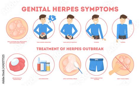 Genital Herpes Symptoms Infectious Dermatology Disease Illustration