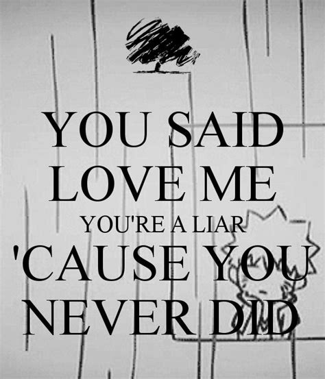 You Lied To Me Forever You Lied To Me You Never Loved Me Liar