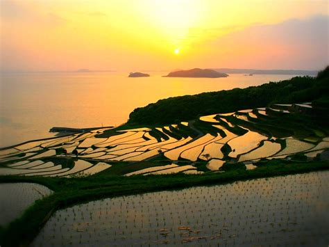 5 Most Beautiful Rice Field Terraces In Japan Triplisher Stories