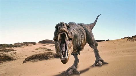 The species tyrannosaurus rex (rex meaning king in latin), often called t. Dinosaurios【Características, Tipos, Alimentación ...