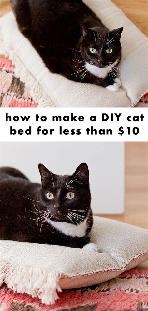A Diy Cat Bed That Cost Less Than 8 To Make Paper And