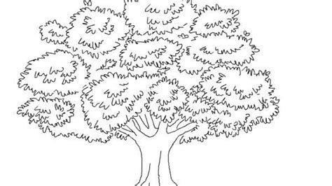 34 Download Gambar Ilustrasi Pohon Beringin Terkeren Dewalucu212