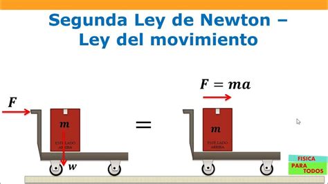 Segunda Ley De Newton Curso En Linea Para El Examen De La Unam