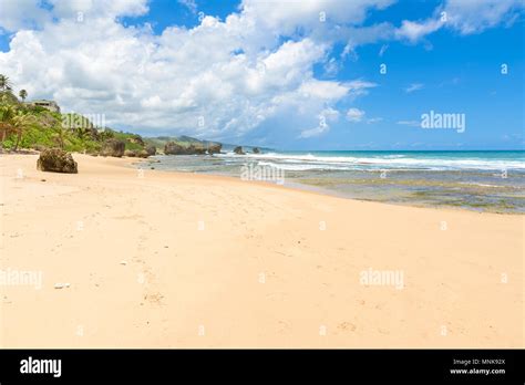 rock formation on the beach of bathsheba east coast of island barbados caribbean islands