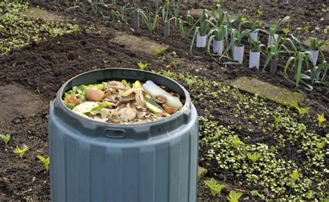 Aprende A Hacer Abono Orgánico Compost Con Los Residuos De Tu Casa