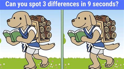 Spot The Difference Can You Spot 3 Differences Between The Two