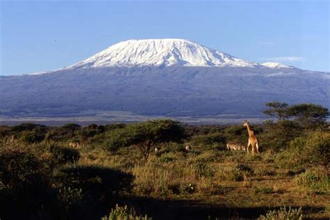 Jungle Photos Africa Scenery Mountains Mount Kilimanjaro Photo