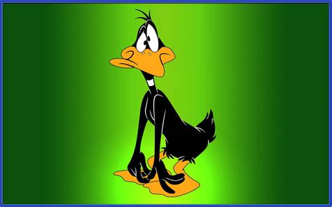 Top 999 Daffy Duck Wallpaper Full Hd 4k Free To Use