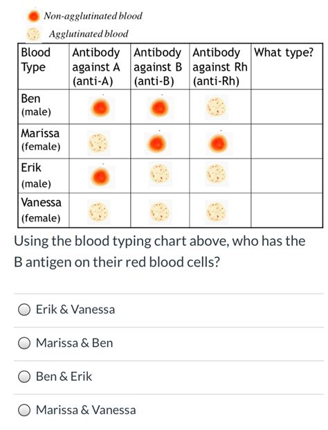 Solved Using The Blood Typing Chart Above Who S Chegg Com