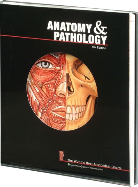 Anatomy And Pathology 5th Edition Text Book Medwest Medical Supplies