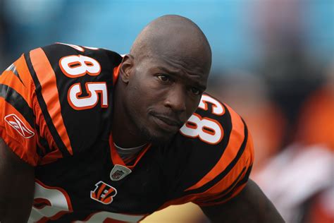 Chad Ochocinco Peta Ad Latest Sign Hes More Celeb Than Nfl Star Now