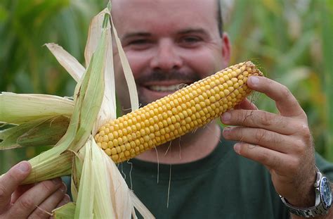 Corn UGA Cooperative Extension