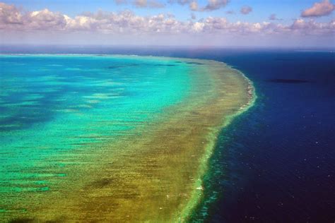 La Grande Barriera Corallina Australia