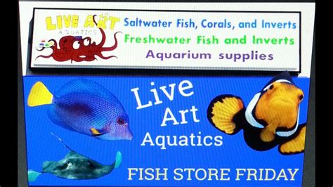 Fish stores in denver, co. Fish Store Friday 1st eps. Live Art Aquatics Store Visit ...