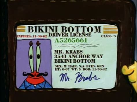 Pada awalnya serial kartun ini ditayangkan pada tahun 1999 di amerika serikat dan dicipta oleh stephen hillenburg, seorang animator dan ahli biologi laut, dan diterbitkan oleh perusahaan beliau, united plankton pictures inc. Never Say Never