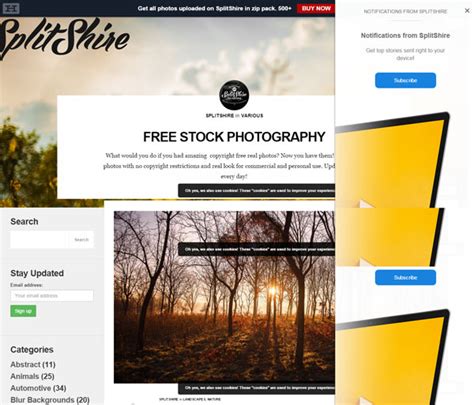 10 Best Free Stock Photo Websites Developers Feed