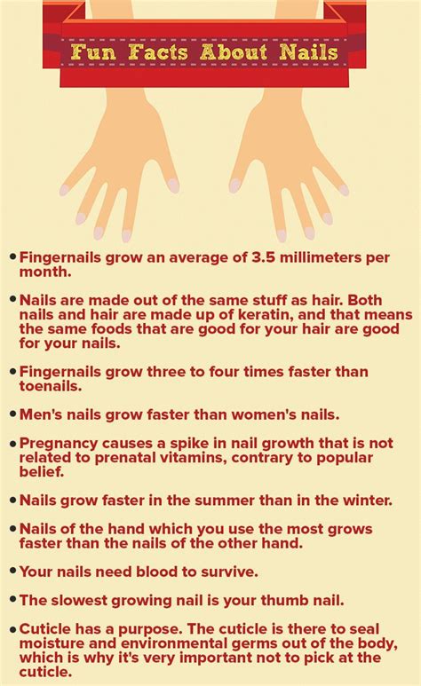 Discover Fun Facts About Nails Nail Quotes Funny Healthy Beauty