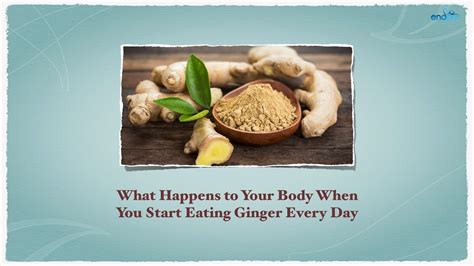 Health Benefits Of Eating Ginger What Happens To Your Body When You Start Eating Ginger Every