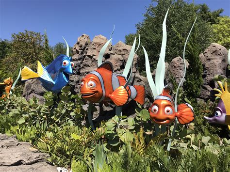 Wheres Nemo At Walt Disney World The Memorable Journey The