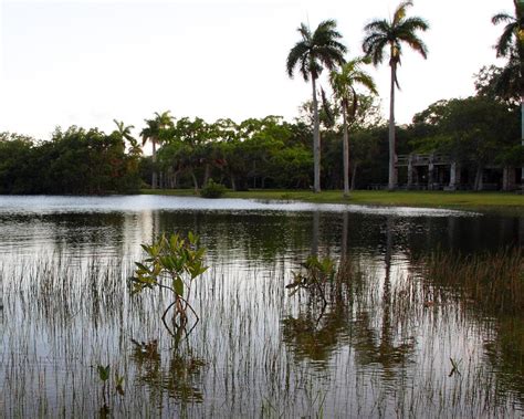 Matheson Hammock Park Greater Miami And Miami Beach