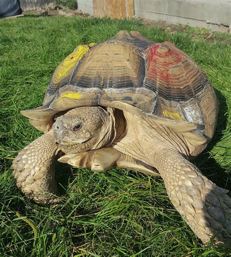 Idaho Reptile Zoo Opens New Location in Boise
