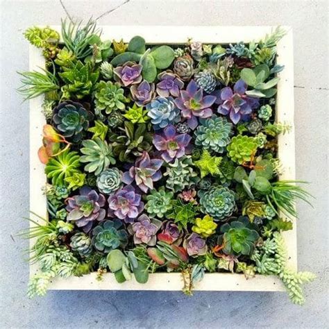 Vertical Succulent Wall Planter In Quick Easy Steps Diy Succulent