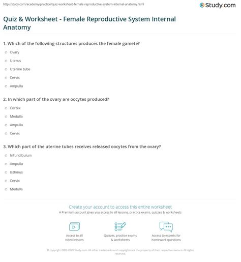 Quiz And Worksheet Female Reproductive System Internal Anatomy
