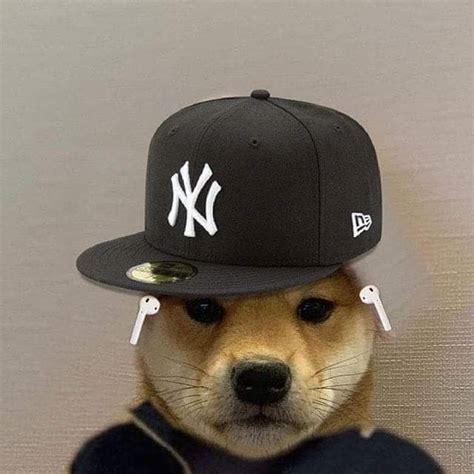 Baby doge coin (babydoge) is currently ranked as the #7258 cryptocurrency by market cap. Pin by Stilly on archive* | Dog projects, Dog hat, Cute animals