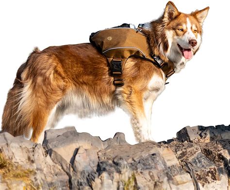 The 25 Best Dog Hiking Backpacks For 2021 Blogger Dogs