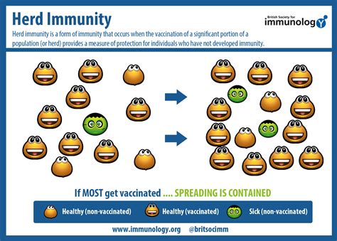 Herd immunity possible with vaccine 12:00. The Importance of Vaccinations | Morristown-Hamblen ...