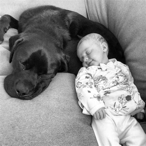 Check spelling or type a new query. Gambar Lawak (11 Gambar)