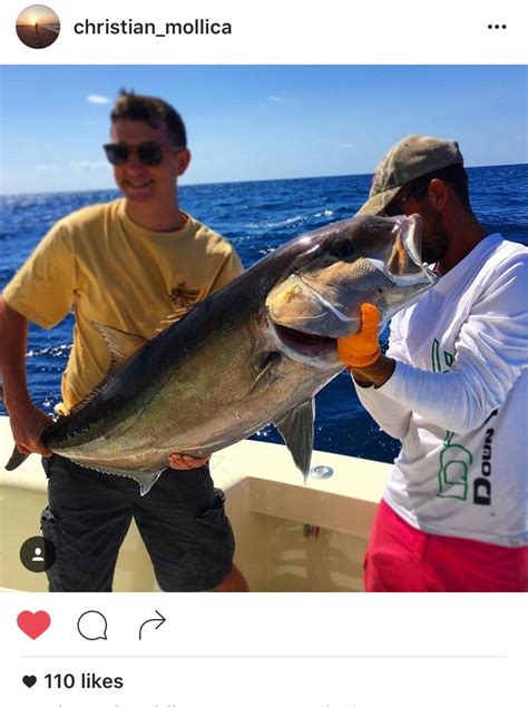 Sw 81 Pound Golden Amberjack Off Hollywood Florida Rfishing