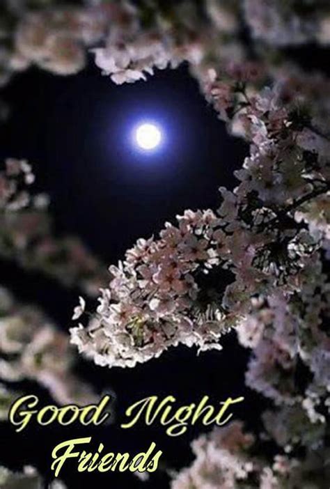 60 Good Night Messages For Friends With Images Funzumo
