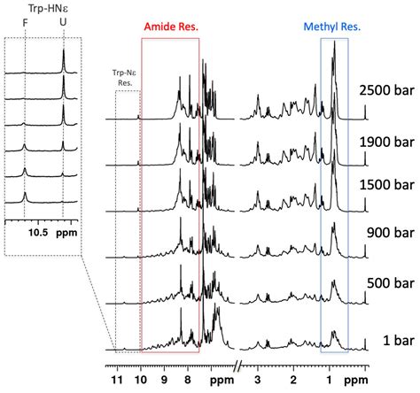 Molecules Free Full Text Combining High Pressure Perturbation With Nmr Spectroscopy For A