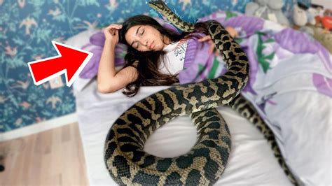 Sleeps With Her Python For Weeks Until Vet Found This Youtube