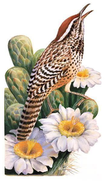 Pin By Claire Eliz On Tattoo Ideas Cactus Wren Arizona