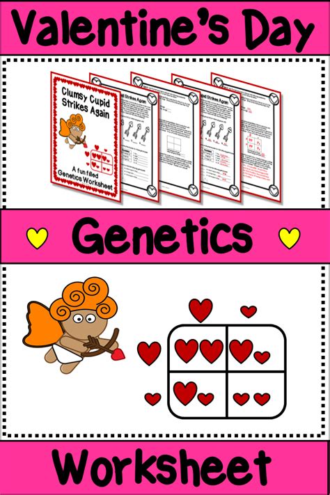 Edexcel as biology worksheet (genes and alleles). Amoeba Sisters Monohybrid Crosses Worksheet Answers | Kids Activities