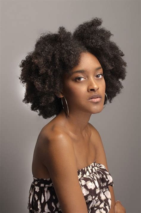 curly afro hairstyles the xerxes