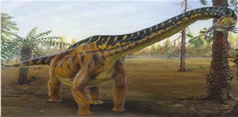 Giant Dinosaur Discovered In Argentina