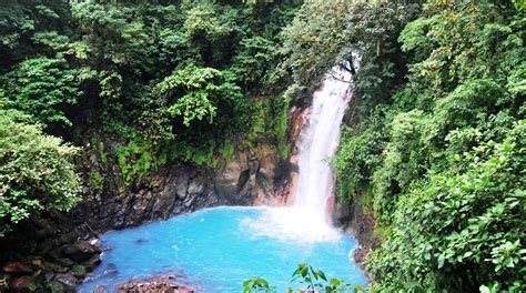 🌍 Guía Para Visitar El VolcÁn Tenorio Y El RÍo Celeste En Costa Rica