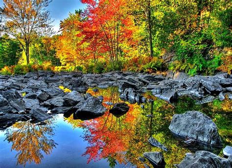 Fall On The Rocks River Orange Rocks Reflections Calm Water Green