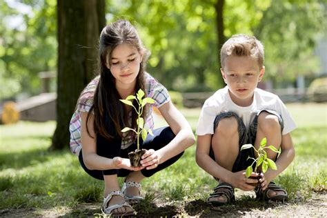 A Importância Do Contato Com A Natureza Durante A Infância Árvore