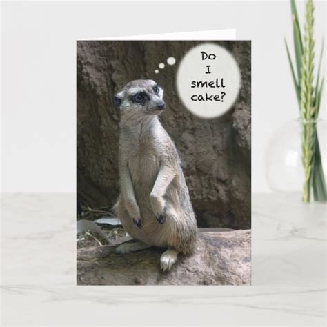 Meerkat Birthday Card Uk