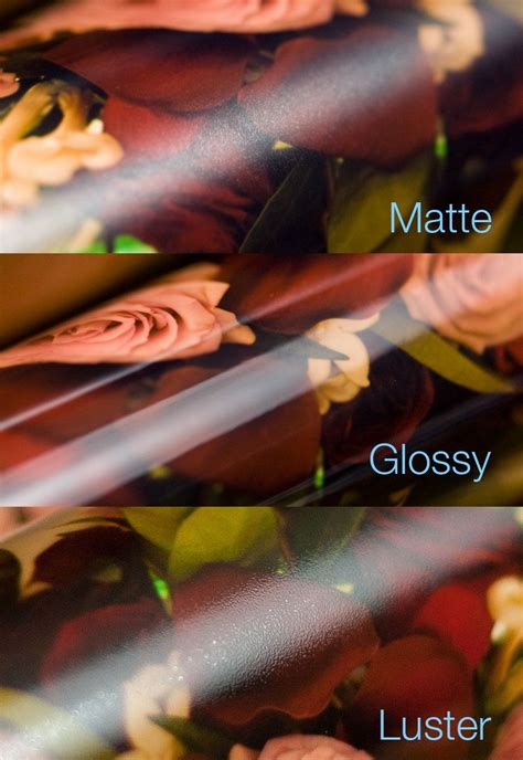 What Is The Difference Between Matte Glossy And Luster Gina Kelley