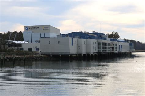 Sodexo And The Virginia Aquarium And Marine Science Center