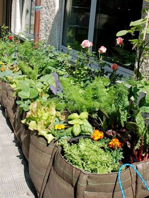 Vegetable Garden Raised To The Rank Of Art 35