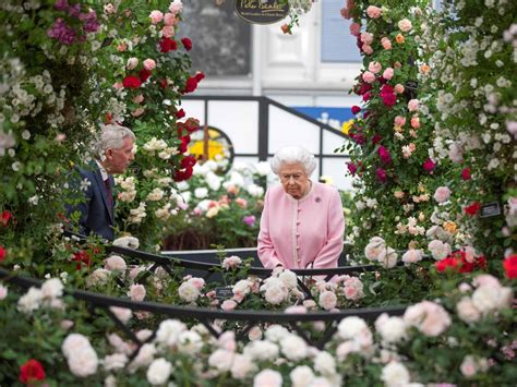 Chelsea Flower Show London A Blooming Marvel