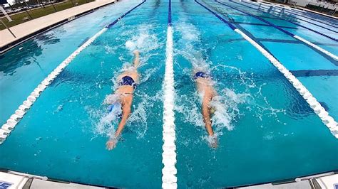 Freestyle Swimming Stroke Technique How To Swim Tutorial Skillsnt