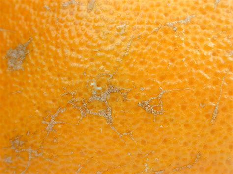 Imageafter Photo Orange Skin Fruit