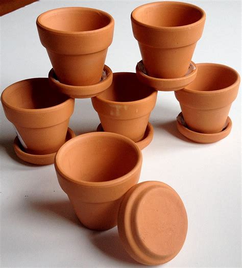 Pennington Mini Terra Cotta 2 Pots With Saucers One Dozen